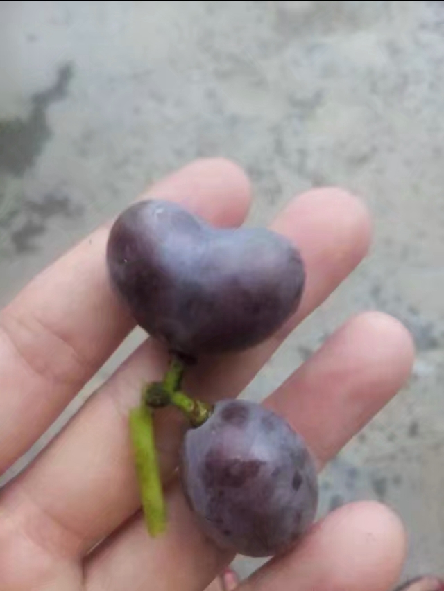 抓不住爱情的歌词,抓不住的爱情文案