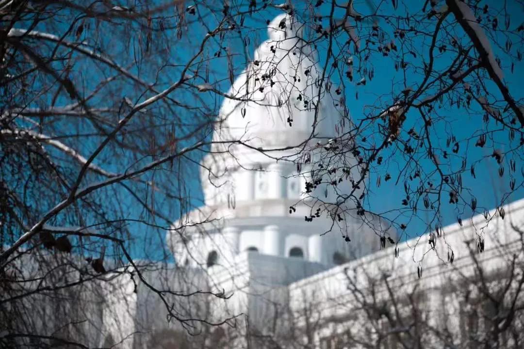 外面零下20℃,绿岛却沸腾了...