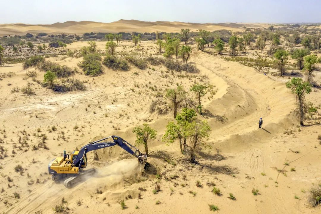 中国植树造林成果国外有什么看法,植树造林改造沙漠