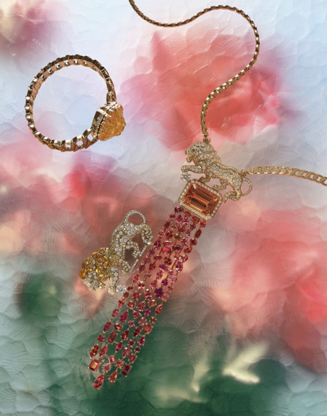 安瑞摄影,安瑞的摄影