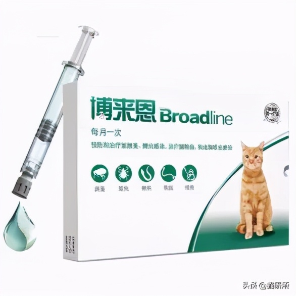 驱虫药怎么选?10个基础问题答疑