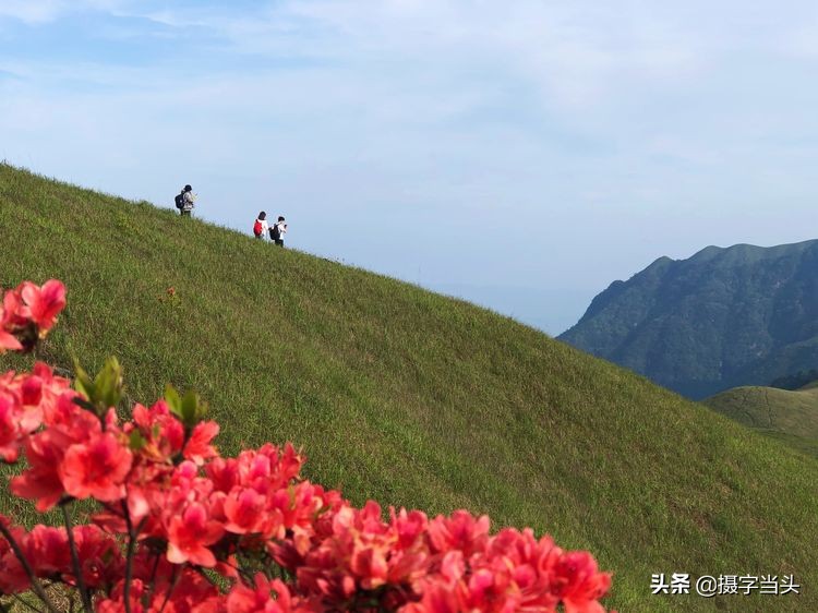 初夏游江西：历经晴、雨、雾，穿越武功山