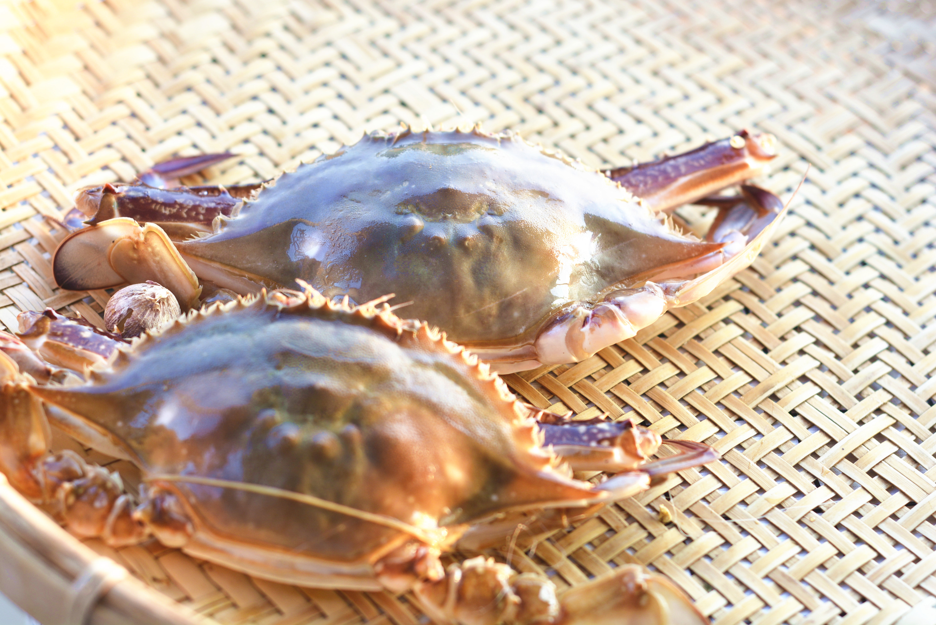 宁波适合吃年夜饭的地方,宁波年夜饭的十个冷菜和十个热菜