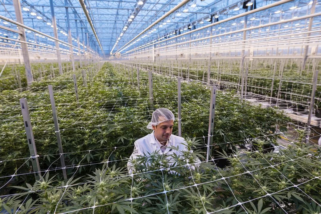 真正重要的永远是自己的内心,真正重要的只是当下