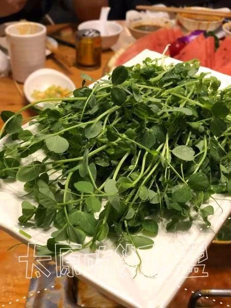 秦妈老火锅重庆,重庆秦妈老火锅图片