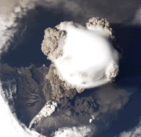 上闲鱼买48999元的二手爱马仕包，你敢吗？