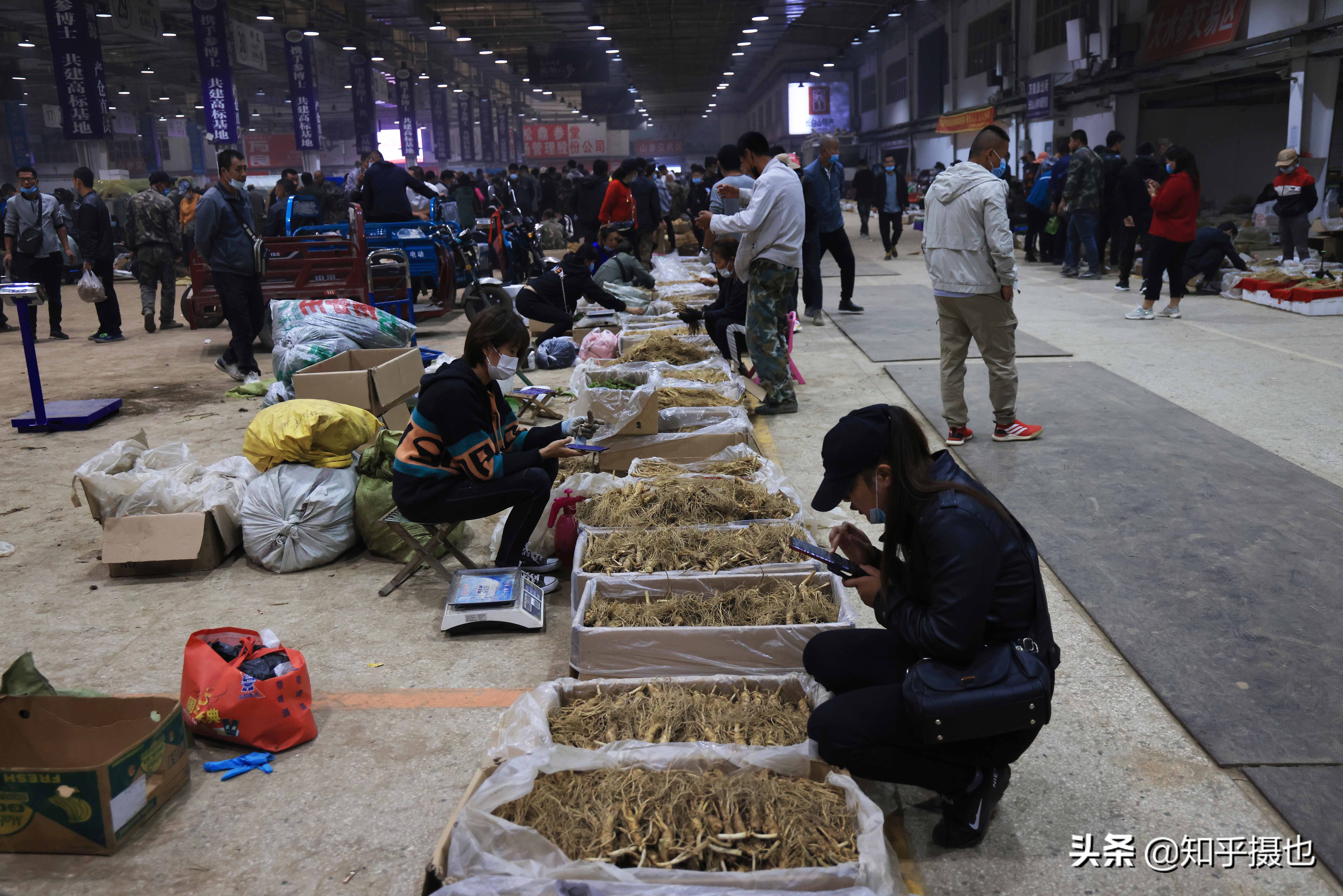 吉林有几个人参交易市场,吉林人参交易市场视频