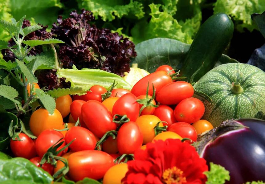 怀孕初期正常孕酮值和hcg值是多少,怀孕初期孕酮值和hcg值多少算正常