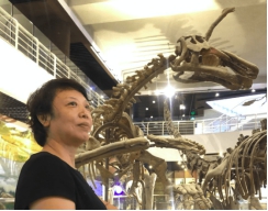 关于恐龙的儿童科普书籍,为什么孩子会喜欢看有关恐龙的书