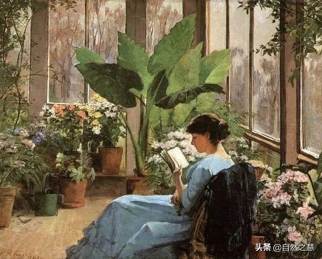 阅读中的三大误区,阅读的策略与技巧