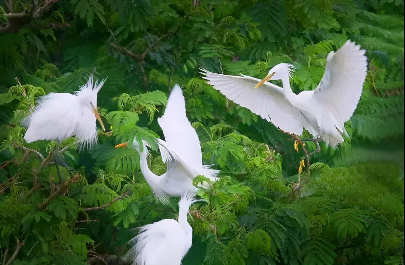 西九华山住宿最佳方案,西九华山风景区住宿