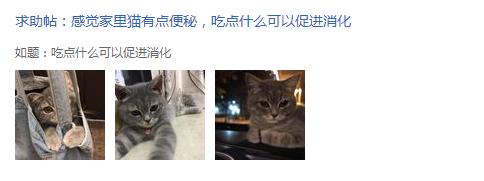 猫吃洋葱有什么反应,猫吃洋葱的症状