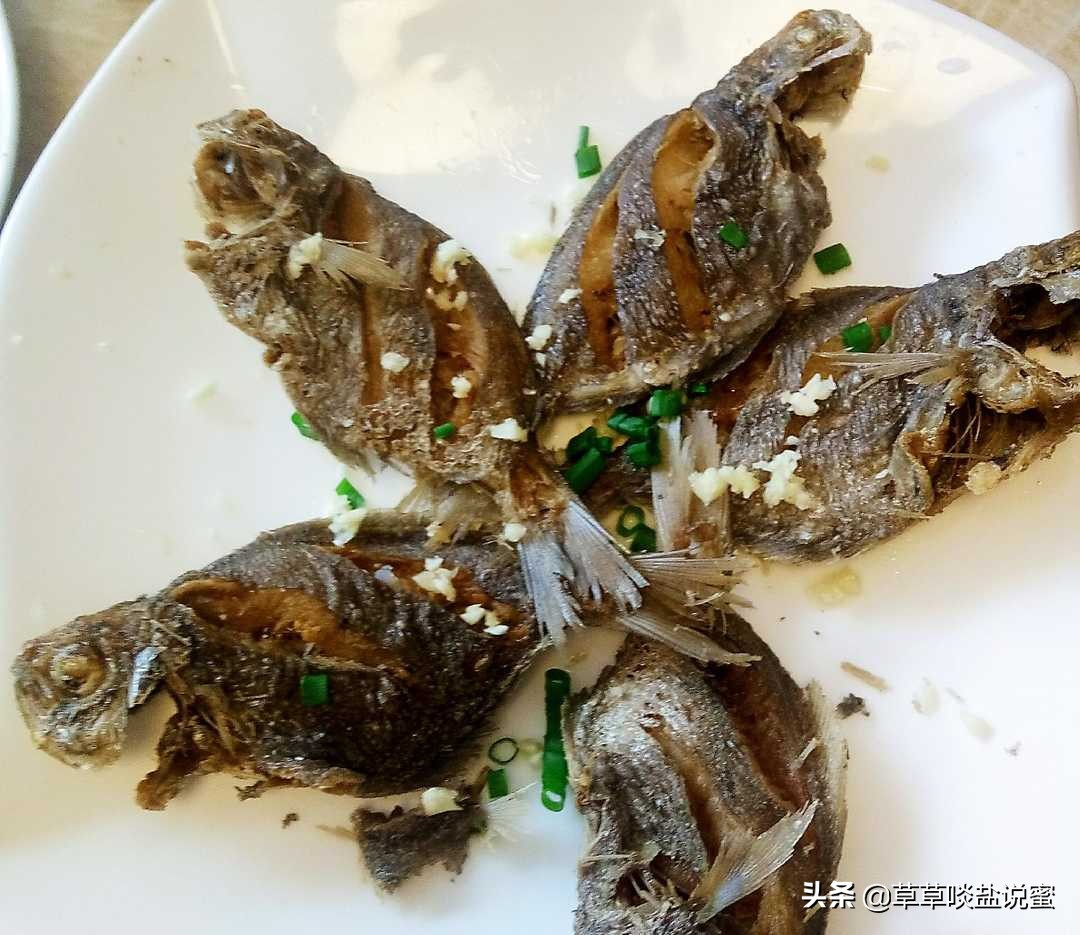 永春特色菜都有哪些,去永春吃哪家特色农家菜