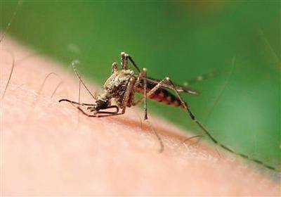 1岁宝宝脚上长了一个透明水泡,1岁宝宝脚上起水泡