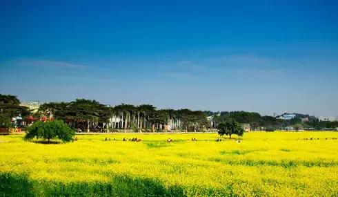 东莞全部镇的名字,广东东莞有几个镇叫什么名字