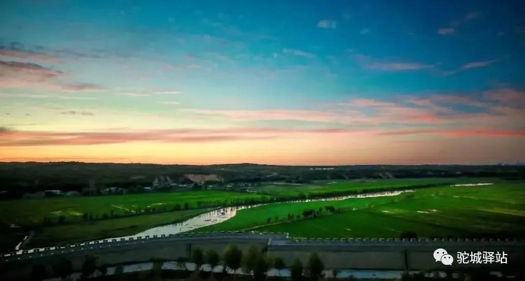 榆林牡丹园,榆林千年牡丹园