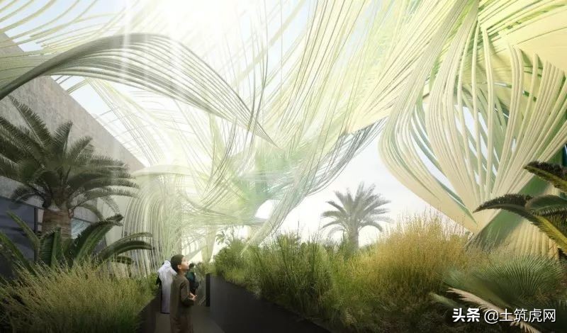 让你意想不到的房子,极简美建筑