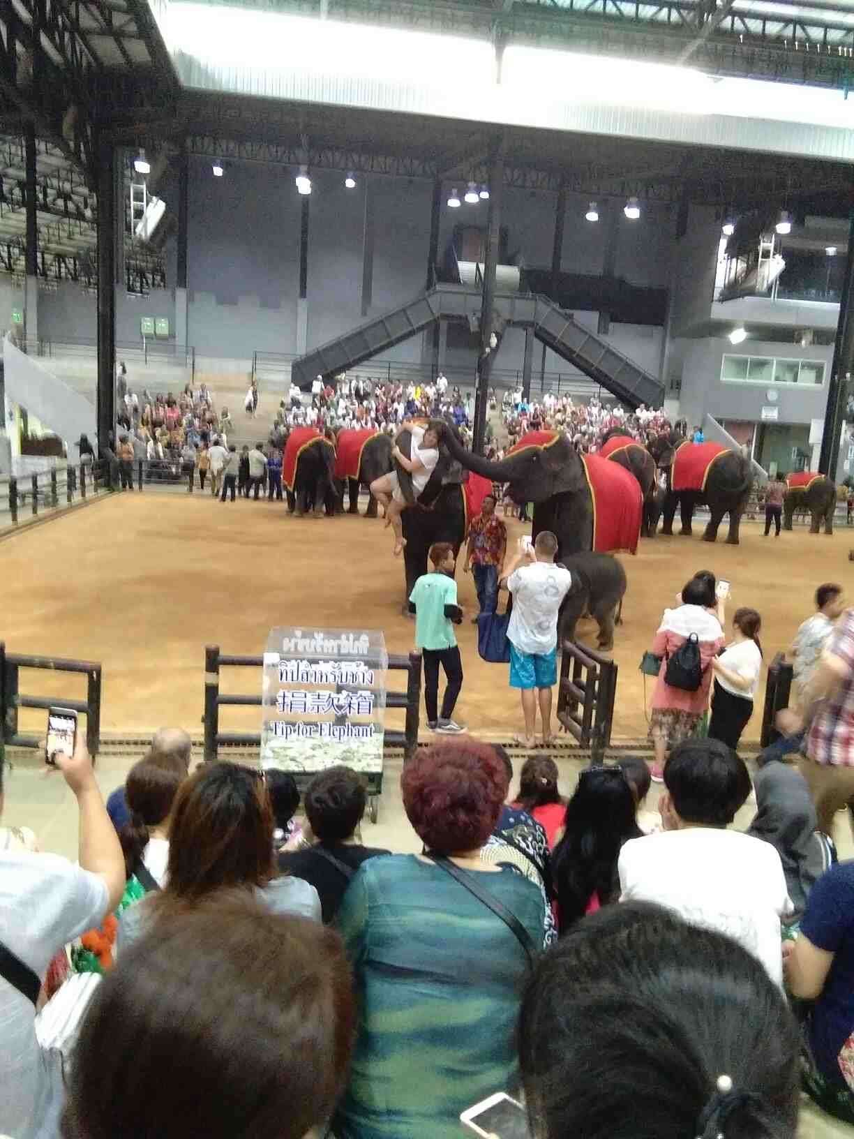 泰国旅行记全集视频,泰国旅行记