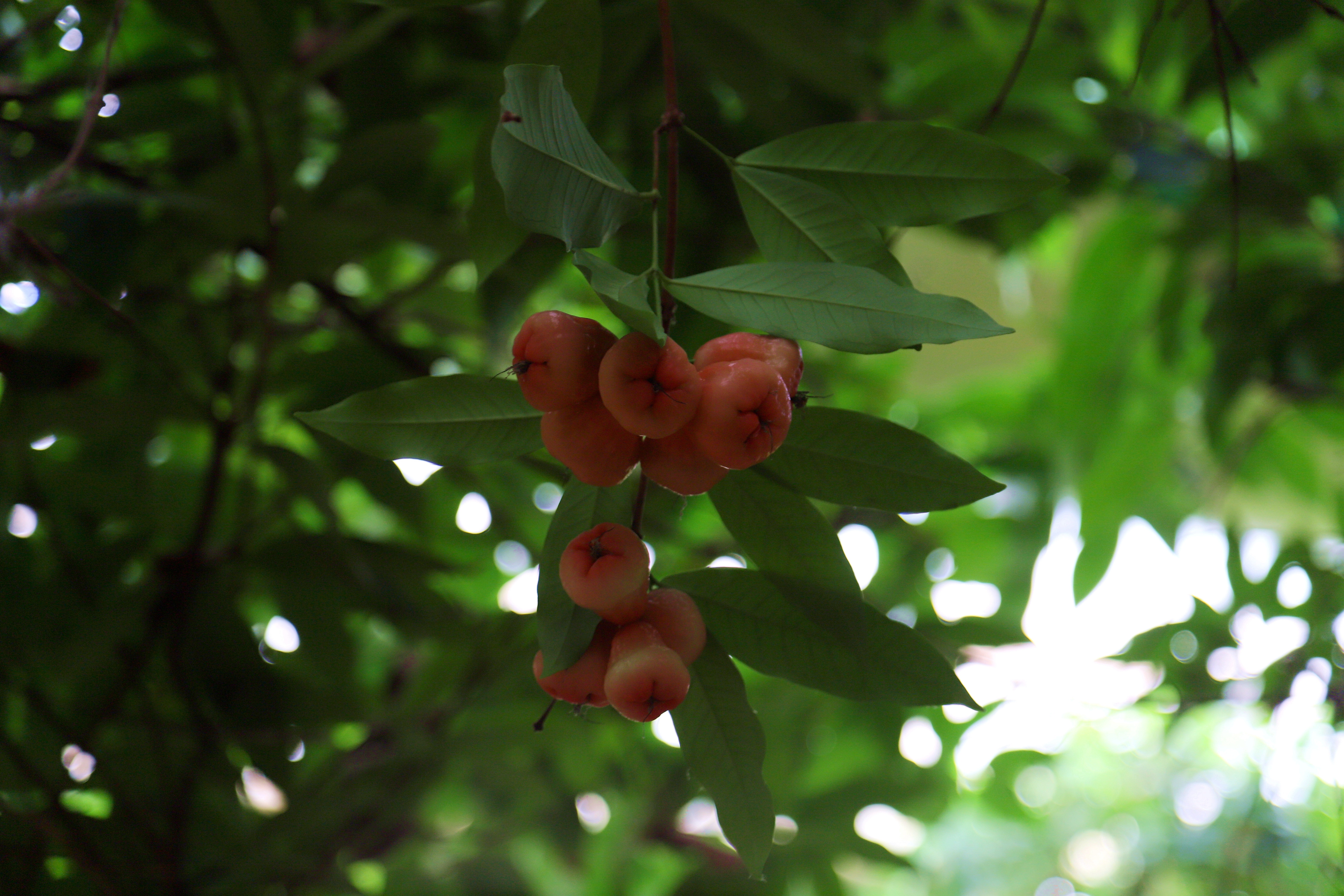 在心灵的栖息地遇见第五季
