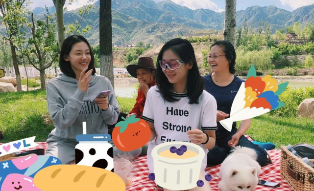 苗苗郑恺恋爱观,郑恺苗苗谁更聪明