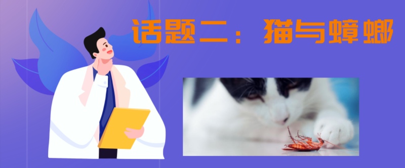 家里有蟑螂猫吃蟑螂吗,家里有蟑螂不能用蟑螂药吗