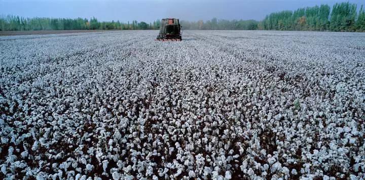 基础款t恤不显腿短,基础款t恤百搭技巧