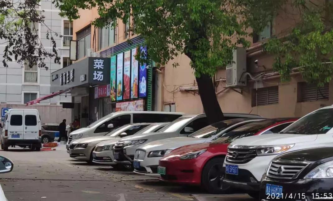 上海这个板块未来值得期待,上海的多肉品种