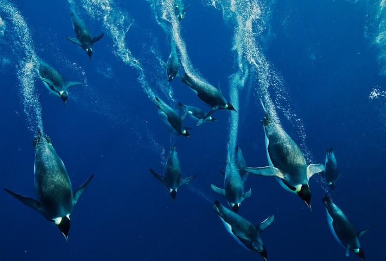 海底1万米处压力是多少,海底一千米压强有多大