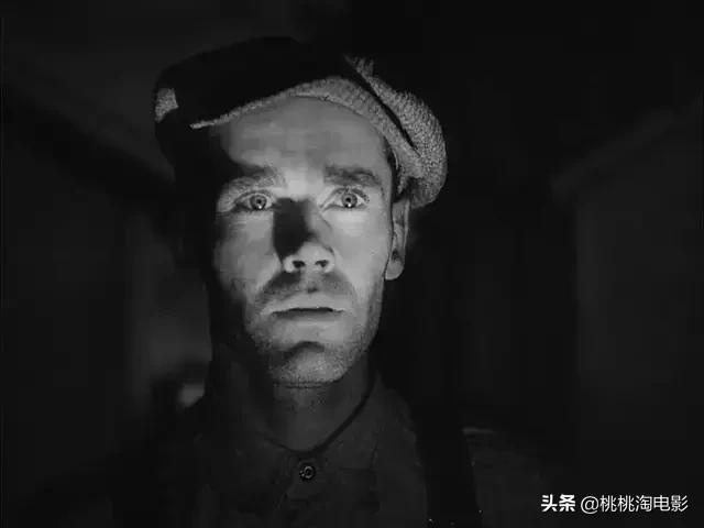 值得一看的一百部电影,重温经典100部电影