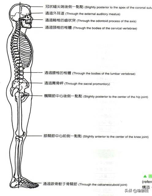 瑜伽山式的九个姿势,瑜伽山式姿势如何做