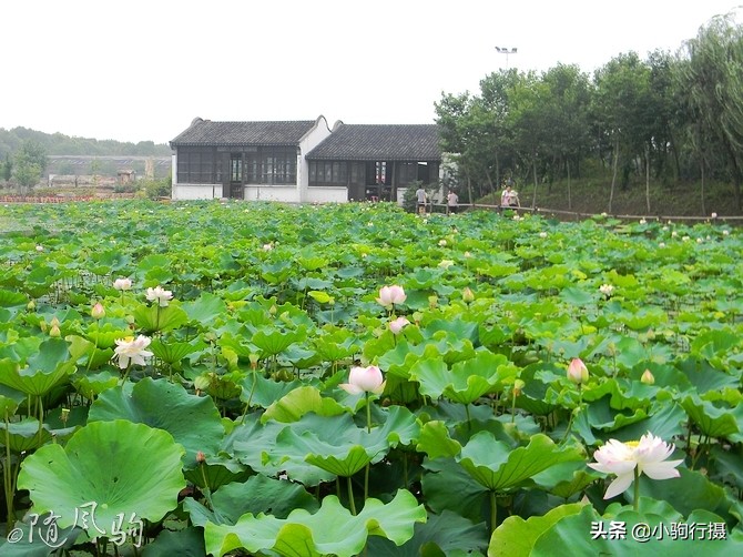 单车骑行无锡,无锡单车骑行路线