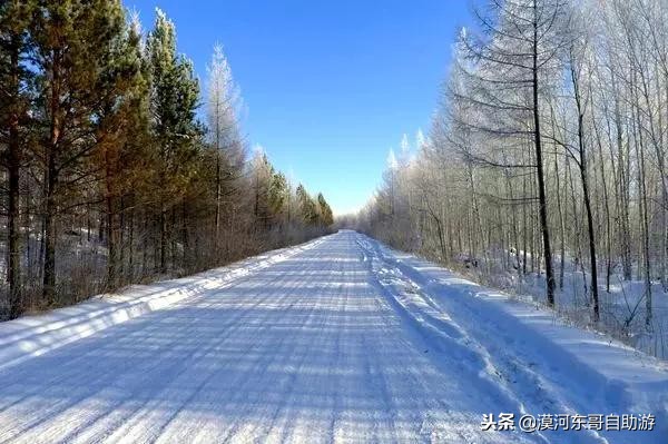 漠河旅游团暑假,漠河雪乡旅游小团