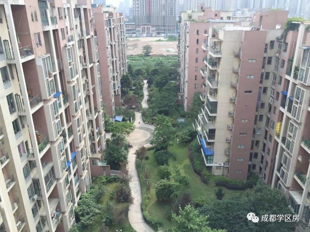 建设路附近学区房,热门双半径学区房