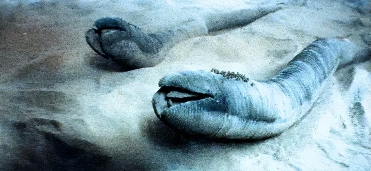 基地阿西莫夫沙丘,海伯利安和沙丘哪个好看