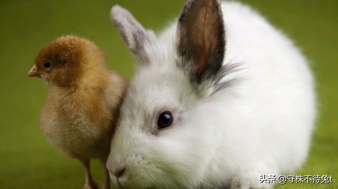 10个关于人类身体的冷知识,十个冷知识人类