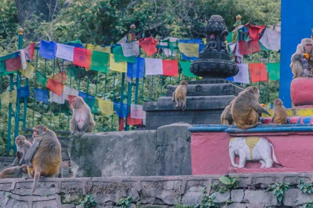 这个微笑国度,见人就夸漂亮,300元就能在天空滑翔
