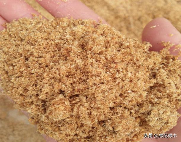 花卉栽培｜蛇木、泥炭、椰糠、松针，这些纤维类植料有什么优点？