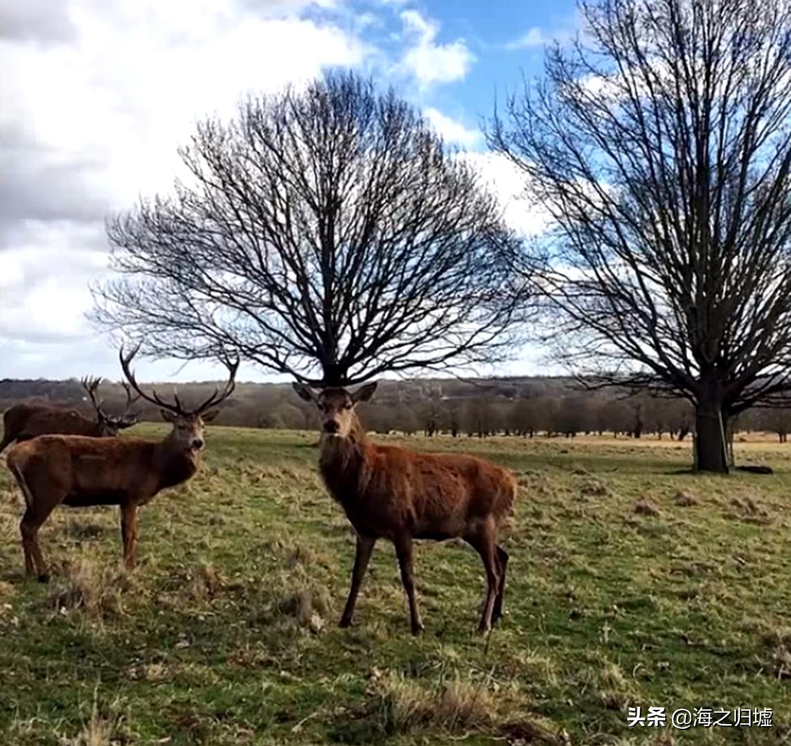 16张不可思议的巧合照片,33张不可思议的巧合照片