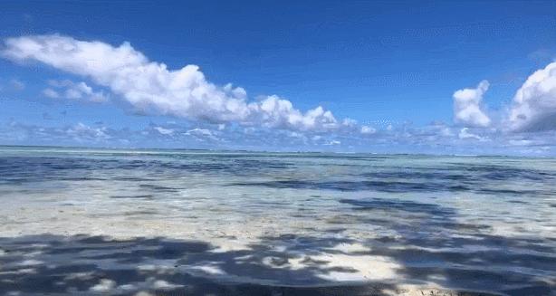 帕劳海底世界美人鱼,美人鱼和帕劳