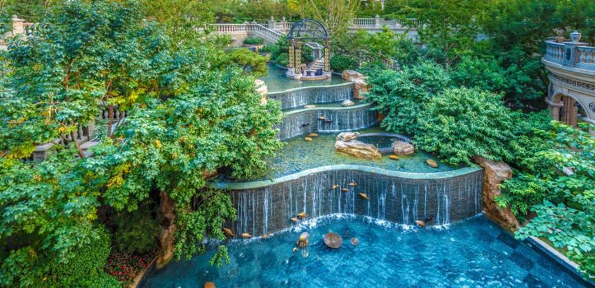 摄影师眼中的恒大有多美？春风十里在这里