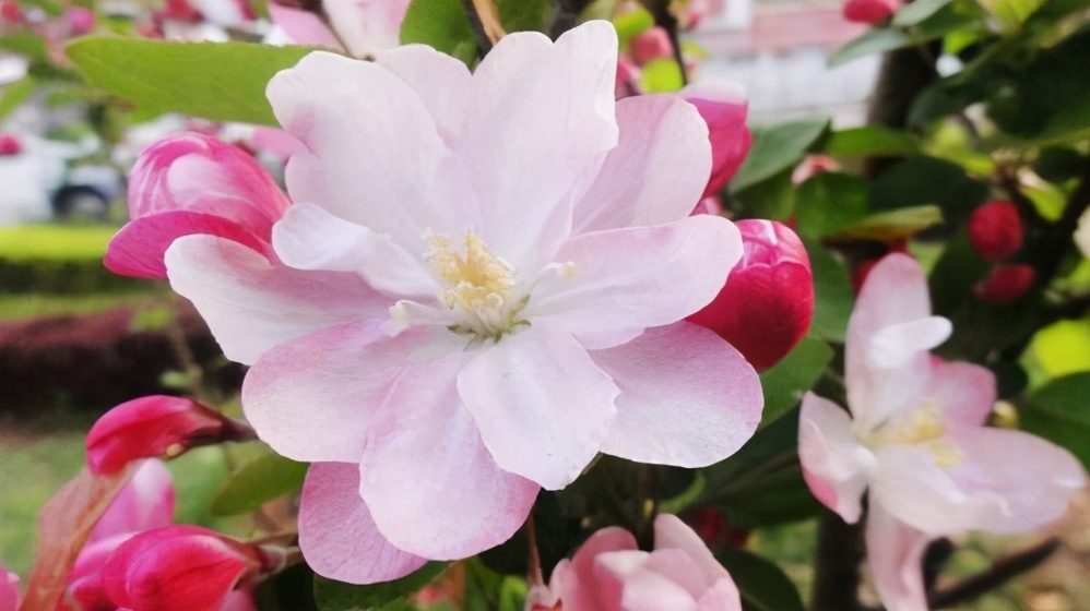 男人越喜欢你越不跟你说话为什么,男人越喜欢你越不和你说话