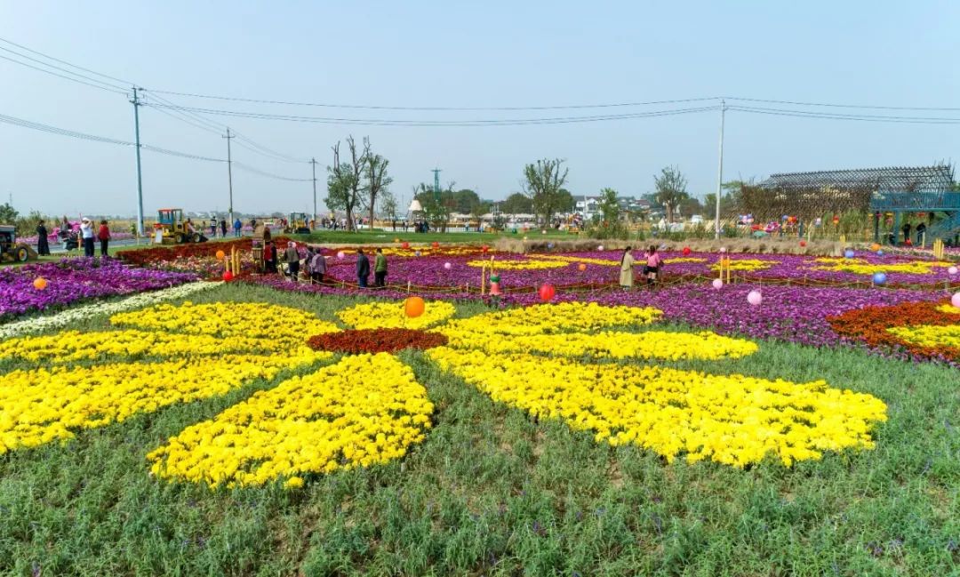 溧阳庆丰村怎么突然火了起来,答案或许就在这里