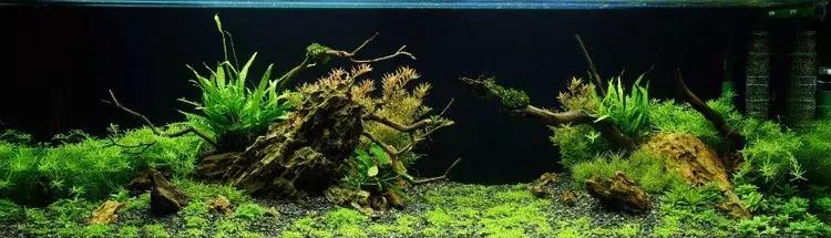 家装室内水系造景设计,家居鱼池假山布局