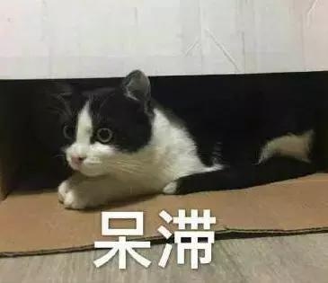 中华烟哭了！小村造20年假烟，拥上百亿美国市场，连正品都来抄袭