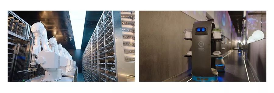 一个海底捞火锅店一年能赚多少钱,小火锅利润分析