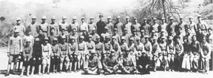 日*用军**50万根毛竹，想要围困粟裕，不料毛竹却被群众拆回家编筐