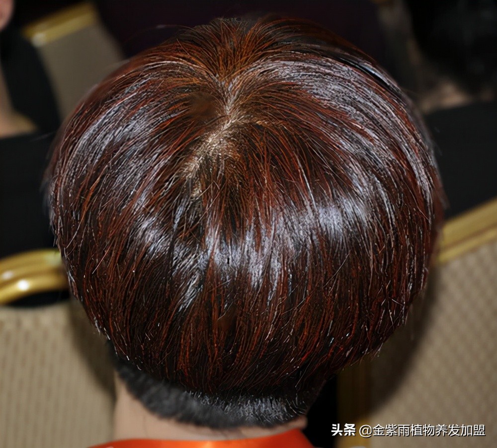 金紫雨养发加盟经营模式,加盟金紫雨植物养发靠谱吗