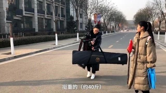 标准古筝和小古筝有什么区别,小古筝与大古筝价格表对比