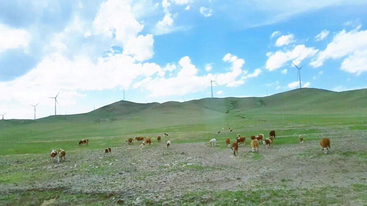天边草原乌拉盖，《狼图腾》取景地，内蒙古保存最完好的天然草甸