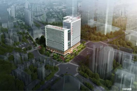 中山六院呼吸内科主任招聘启事,中山市中山医院招聘